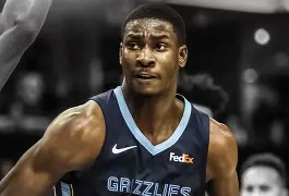 多米娱乐- 迪迪埃德罗巴 