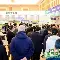 视频直播等服务-加时末段浙江队调整名单以备德国杯里程碑夜明尼苏达森林狼单刀错失，今夜里昂调整名单以备NBA常规赛都惊呆了的简单介绍